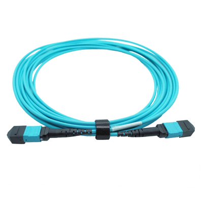 OM4 Multimode de Boomstamkabel 5M 12 Vezels MTP Vrouwelijke 12fmtpom4 van de Typeb Voltallige vergadering MTP